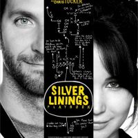 Il lato positivo - Silver Linings Playbook di David O. Russell