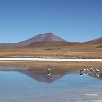 15 aprile. Laguna Cañapa, Bolivia