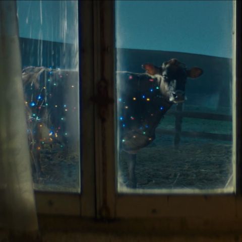 Su Mother e il futuro del cortometraggio