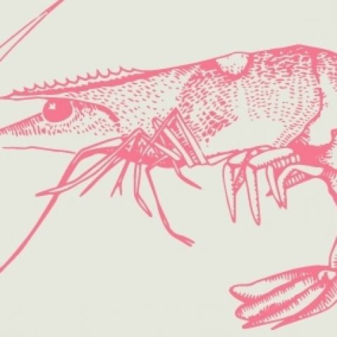 L'anarchia delle cose